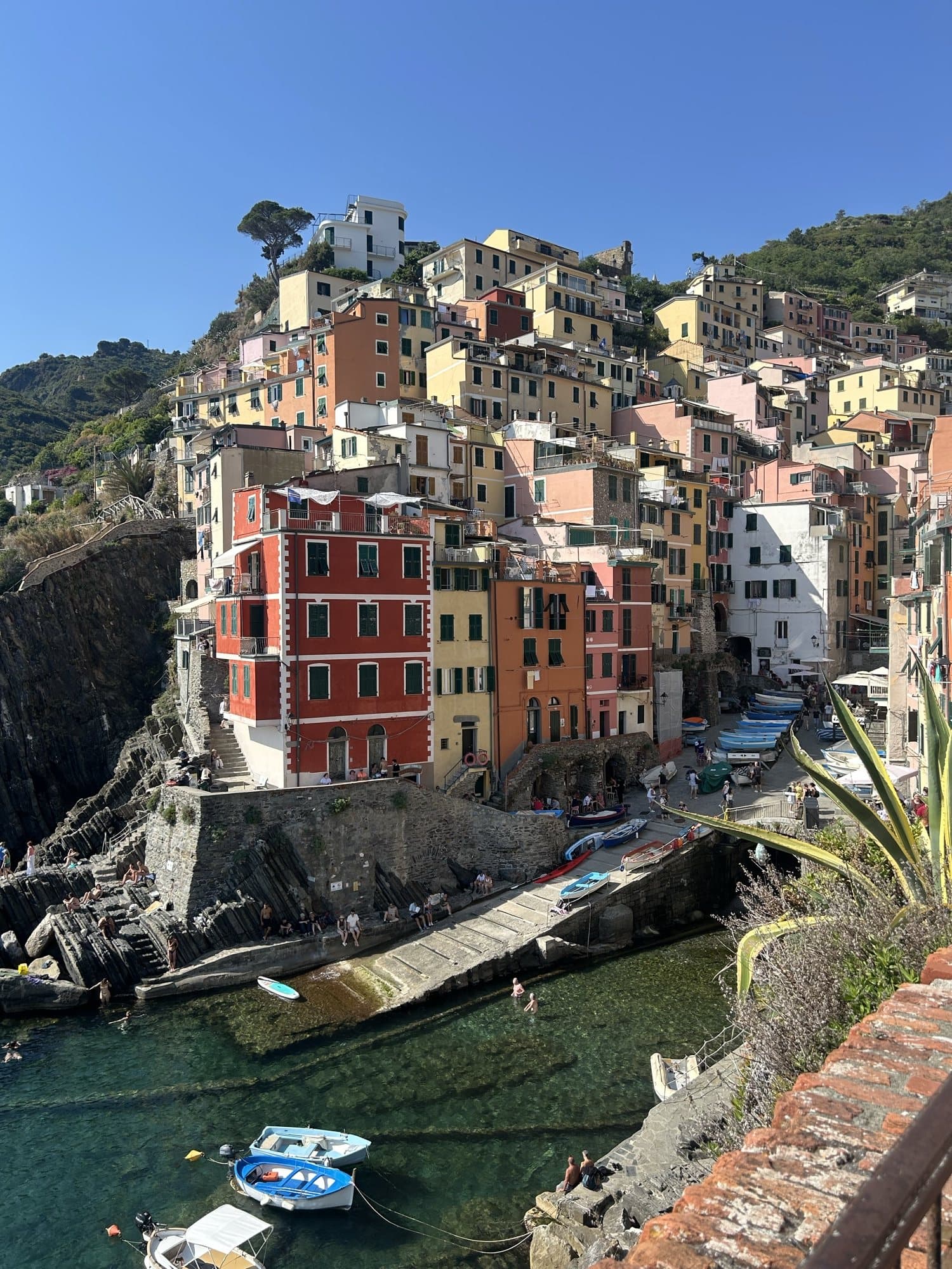 Colourful houses of Riomaggiore above the harbour, Cinque Terre